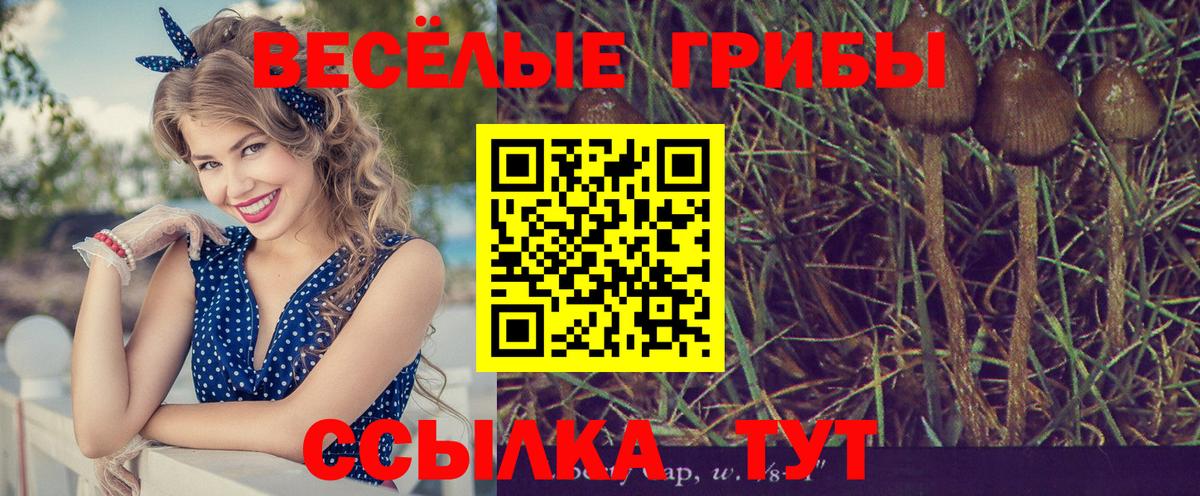 Галлюциногенные грибы Cubensis Моздок