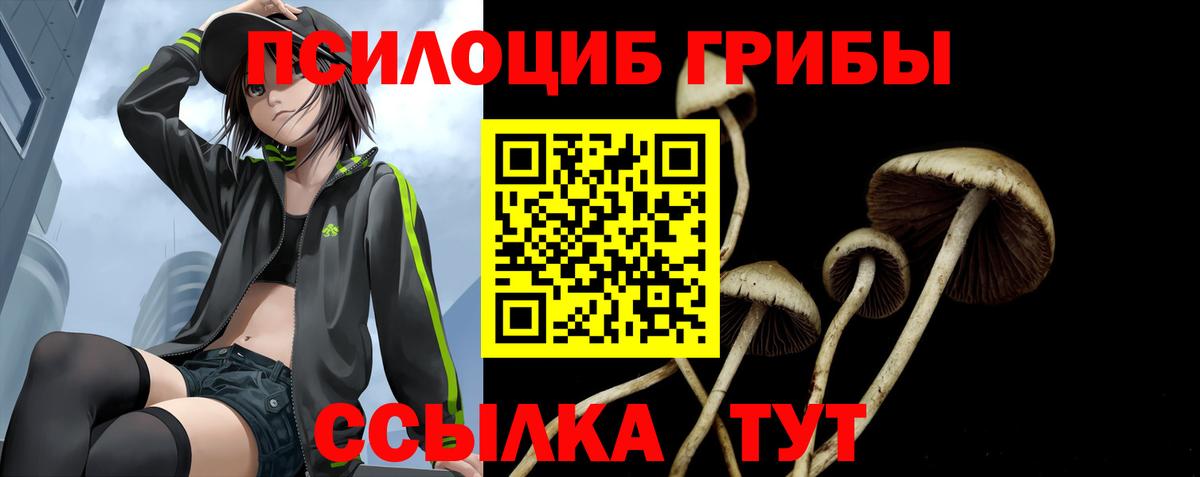 Галлюциногенные грибы мухоморы  Вход с VPN  Псилоцибиновые грибы прущие грибы  Моздок 
